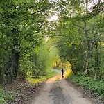 Siedlisko 88 Zełwągi