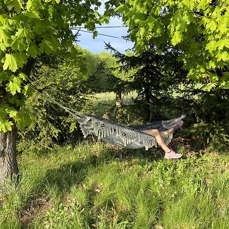 Siedlisko 88 公寓 *