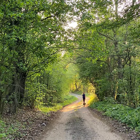 Siedlisko 88 Zełwągi