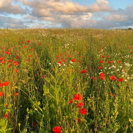 Siedlisko 88 Zełwągi