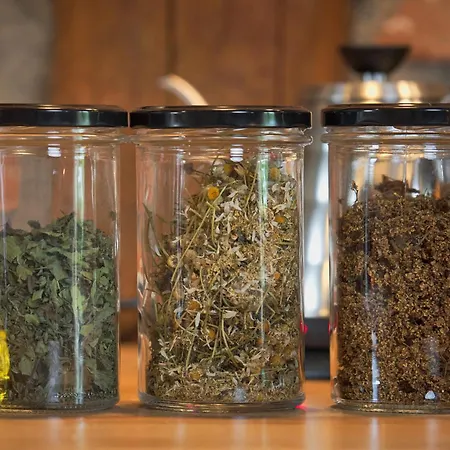 Siedlisko 88 * Zełwągi